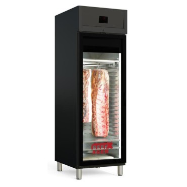 Cámara vitrina maduración de carne BA-400