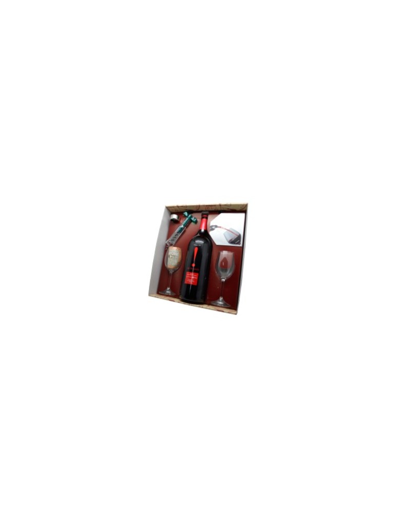 Estuche Magnum Vinotauro – Botella Solar de Becquer Crianza Personalizada + Accesorios
