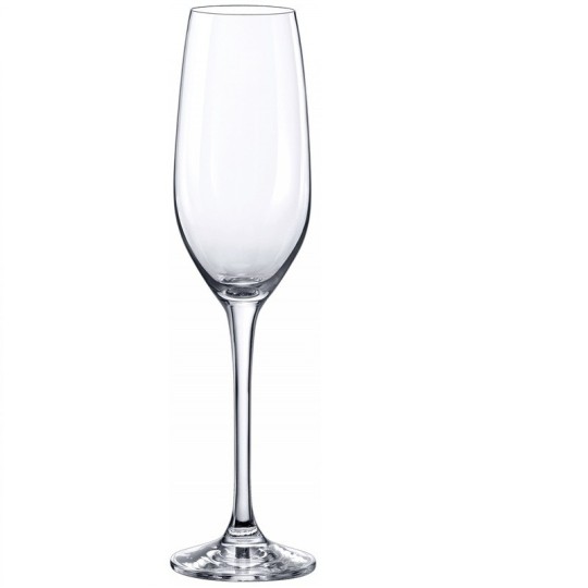 Copa de Cava Vid 20 cl – Caja de 6 Copas Elegantes