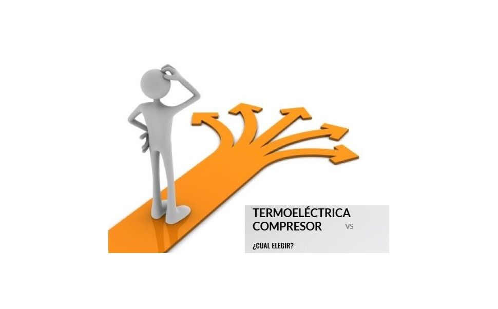 Vinoteca Termoeléctrica vs. Vinoteca con Compresor: ¿Cuál elegir?
